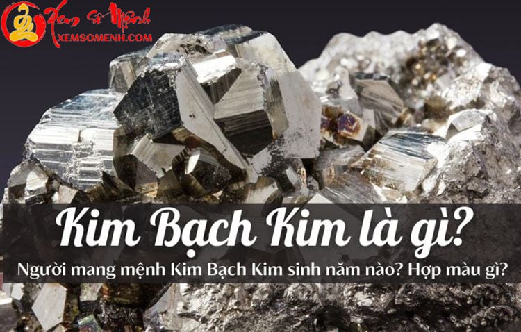 Mệnh Kim Bạch Kim là gì? Hợp màu gì, đi xe gì?