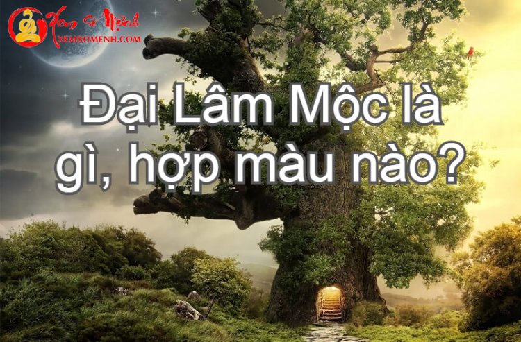 Mệnh Đại Lâm Mộc là gì? Có phải cứ kiên cường, giỏi giang thì cả đời suôn sẻ?
