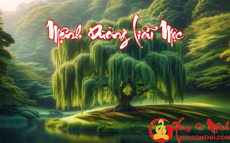 Mệnh Dương Liễu Mộc là gì? Cuộc đời người mệnh này sẽ đi về đâu?