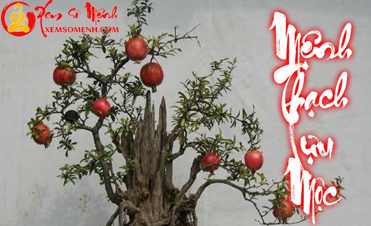 Mệnh Thạch Lựu Mộc: Sinh ra đã là kẻ kiên cường vươn lên không biết mệt mỏi