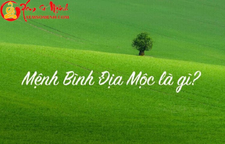 Mệnh Bình Địa Mộc là gì? Người mệnh Bình Địa Mộc có vận mệnh ra sao, cuộc đời thế nào?