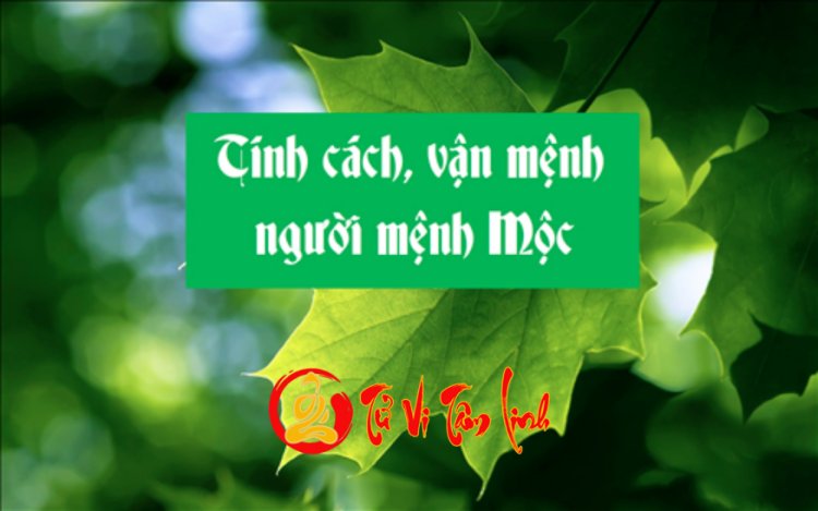 Tính cách người mệnh Mộc: thích lãnh đạo và hay nóng giận