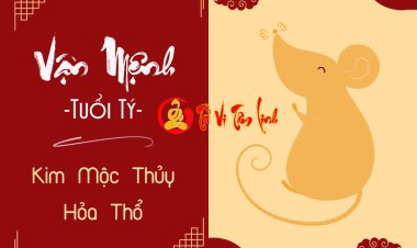 Tính cách, Vận mệnh người tuổi Tý theo mệnh Kim, Mộc, Thủy, Hỏa, Thổ
