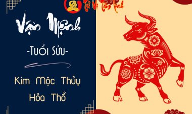 Tính cách, vận mệnh người tuổi Sửu mệnh Kim, Mộc, Thủy, Hỏa, Thổ