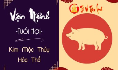 Dự đoán vận mệnh người tuổi Hợi mệnh Kim, Mộc, Thủy, Hỏa, Thổ cực chính xác