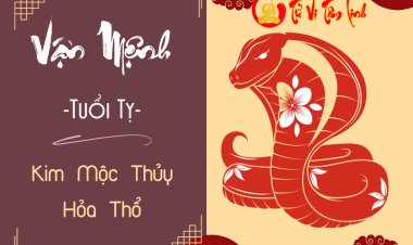 Tính cách, vận mệnh người tuổi Tị mệnh Kim, Mộc, Thủy, Hỏa, Thổ