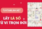 Lập Lá Số Tử Vi Chính Xác Theo Ngày Giờ Sinh