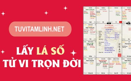 Lập Lá Số Tử Vi Chính Xác Theo Ngày Giờ Sinh