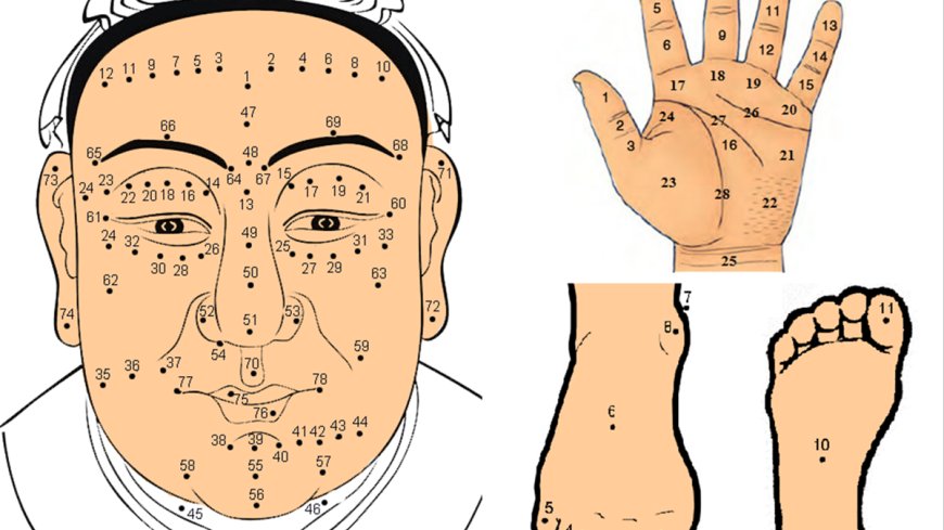 Xem Bói Nốt Ruồi Toàn Thân Nam & Nữ Chính Xác 100%