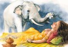 Dreaming About Elephants - Decoding the Detailed Meaning of Dreams Symbolizing Strength and Intelligence
