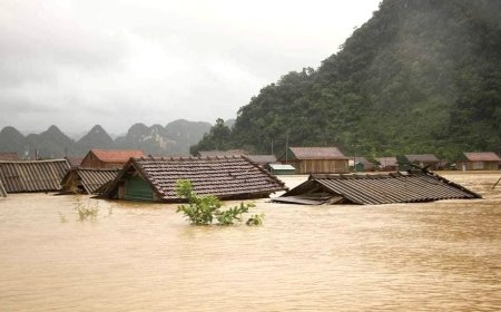 Giải mã giấc mơ thấy lũ lụt: Điềm báo dữ hay khởi đầu mới?