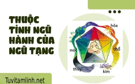 Thuộc Tính Ngũ Hành Của Ngũ Tạng : Bí mật cân bằng cơ thể theo học thuyết Đông y cổ truyền