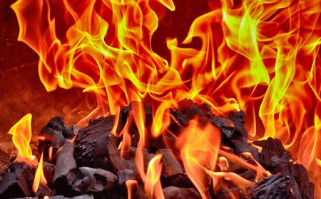 Nằm Mơ Thấy Lửa - Giải Mã Ý Nghĩa Chi Tiết Nhất