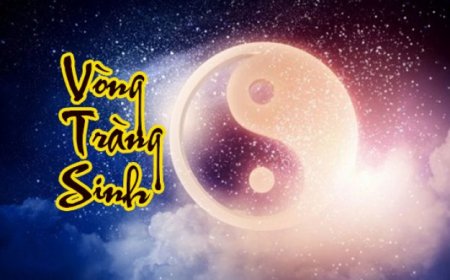 Luận Về Vòng Tràng Sinh Trong Tử Vi Đẩu Số-Dòng Chảy Sinh Diệt Của Nhân Mệnh