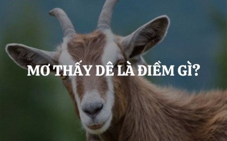 Nằm Mơ Thấy Dê - Giải Mã Ý Nghĩa Đầy Đủ Và Chính Xác Nhất