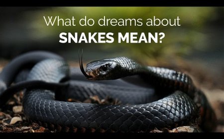 Decoding Dreams About Snakes - Spiritual Meaning and Most Detailed Good and Bad Omens