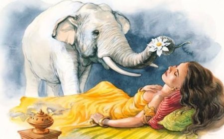 Dreaming About Elephants - Decoding the Detailed Meaning of Dreams Symbolizing Strength and Intelligence