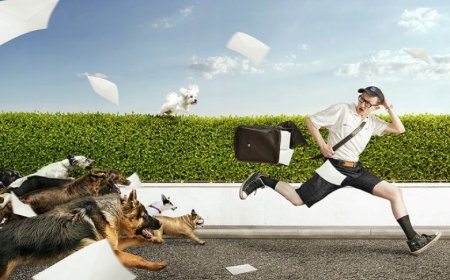 What Does It Mean To Dream About Being Bitten By A Dog Or Attacked By A Dog?