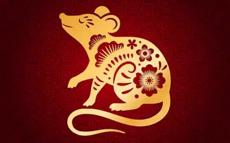 Xem Tử Vi Người Tuổi Tý Dựa Vào Giờ, Ngày, Tháng Sinh Chi Tiết