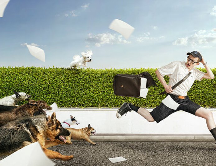 Nằm Mơ Thấy Bị Chó Cắn, Chó Tấn Công Có Ý Nghĩa Như Nào