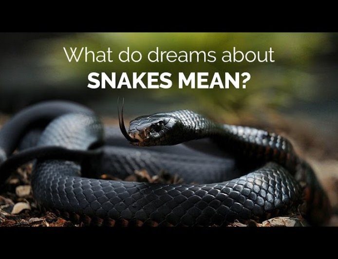 Decoding Dreams About Snakes - Spiritual Meaning and Most Detailed Good and Bad Omens