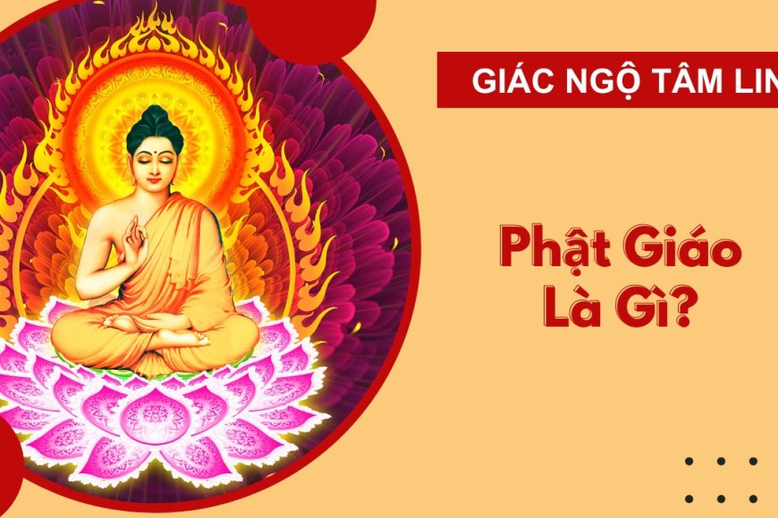 Phật giáo là gì: Khám phá sâu sắc về đạo Phật