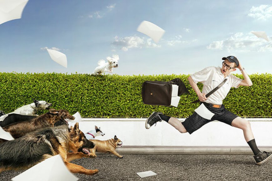 Nằm Mơ Thấy Bị Chó Cắn, Chó Tấn Công Có Ý Nghĩa Như Nào