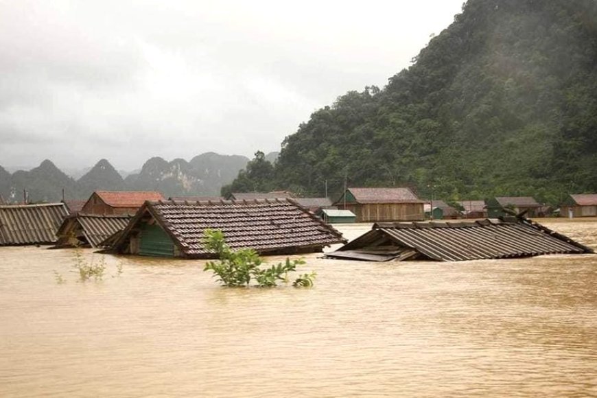 Giải mã giấc mơ thấy lũ lụt: Điềm báo dữ hay khởi đầu mới?