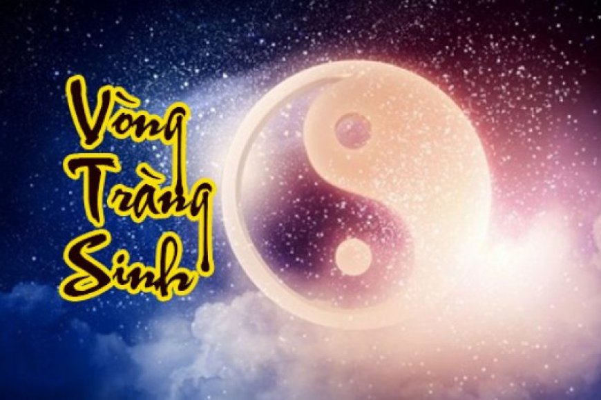 Luận Về Vòng Tràng Sinh Trong Tử Vi Đẩu Số-Dòng Chảy Sinh Diệt Của Nhân Mệnh