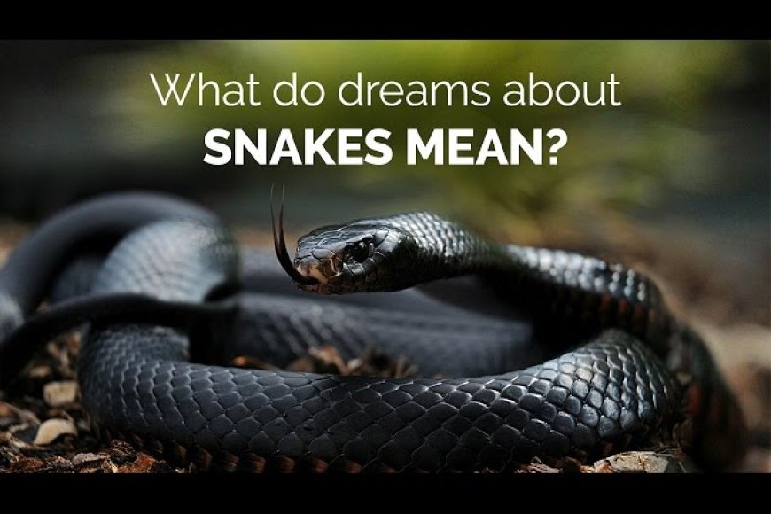 Decoding Dreams About Snakes - Spiritual Meaning and Most Detailed Good and Bad Omens