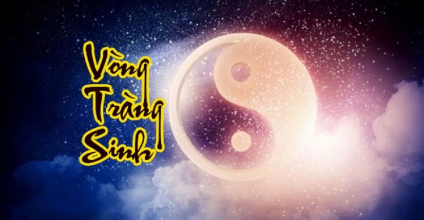 Luận Về Vòng Tràng Sinh Trong Tử Vi Đẩu Số-Dòng Chảy Sinh Diệt Của Nhân Mệnh