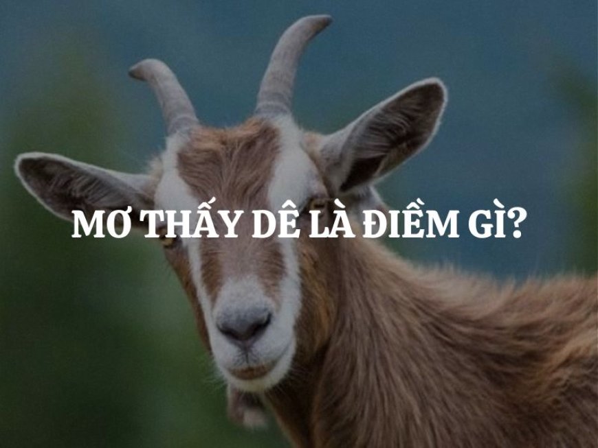 Nằm Mơ Thấy Dê - Giải Mã Ý Nghĩa Đầy Đủ Và Chính Xác Nhất