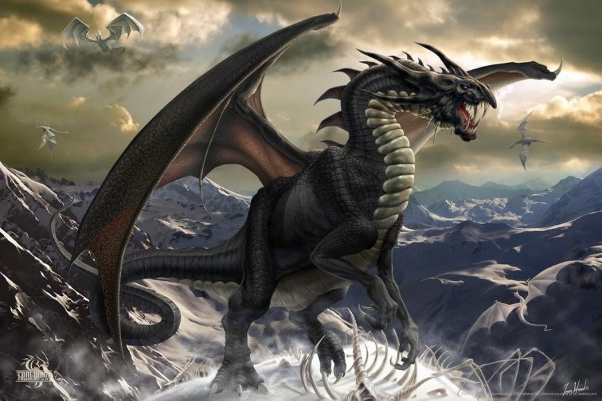 dream of black dragon