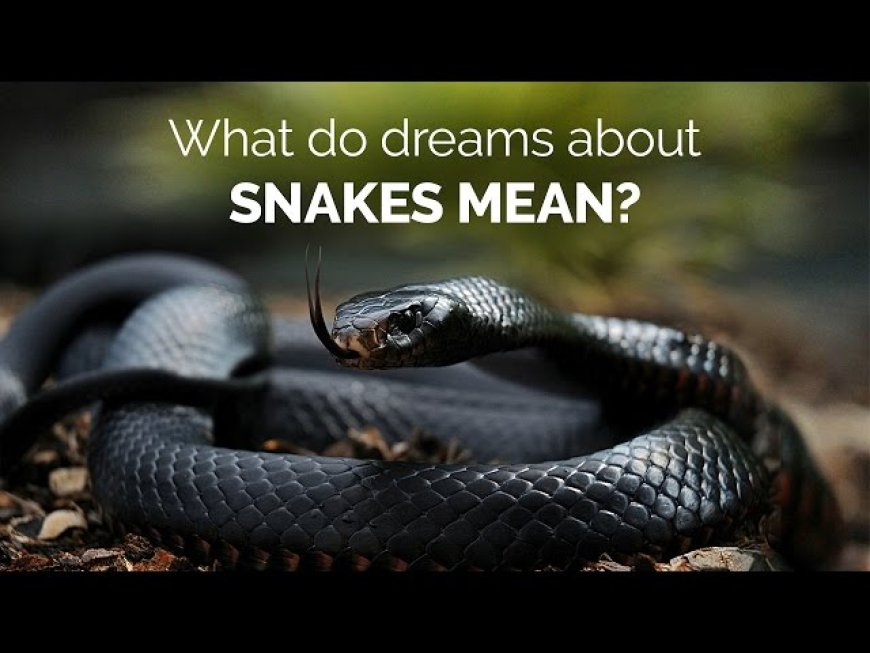 Decoding Dreams About Snakes - Spiritual Meaning and Most Detailed Good and Bad Omens
