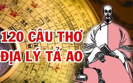 Tổng Hợp 120 Câu Văn Địa Lý Tả Ao Đầy Đủ Và Chi Tiết