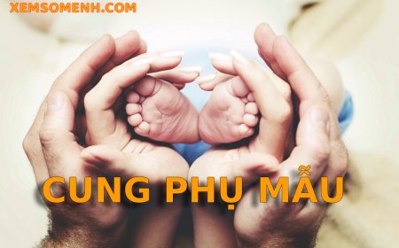 Cung Phụ Mẫu là gì? Luận giải nghĩa các sao khi tọa trong cung Phụ Mẫu