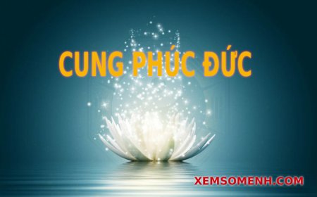 Cung Phúc Đức là gì? Ý nghĩa các sao khi tọa ở Phúc Đức trong tử vi