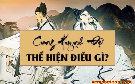 Cung Huynh Đệ là gì? Luận giải ý nghĩa các sao an trong cung Bào trên lá số tử vi