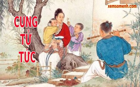 Cung Tử Tức là gì? Luận giải ý nghĩa các sao khi an tại cung Tử Tức trong tử vi