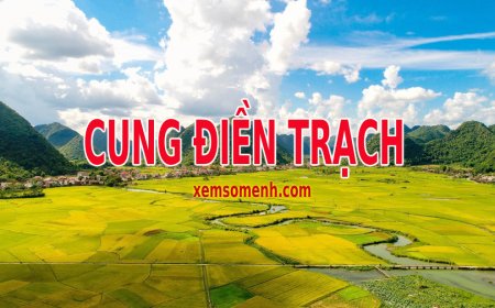 Cung Điền Trạch là gì? Luận giải ý nghĩa các sao khi tọa ở cung Điền trong tử vi