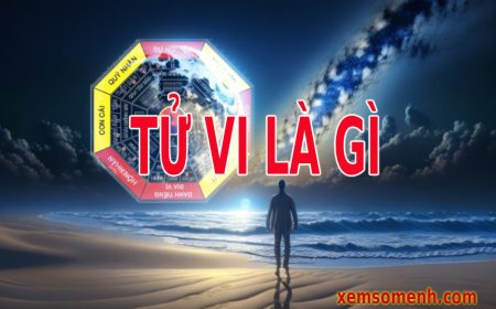 Tử Vi Là Gì? Khái Niệm, Nguồn Gốc Và Ứng Dụng Của Lá Số Tử Vi