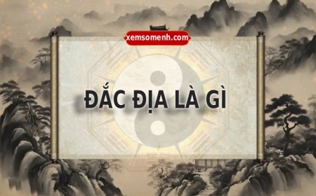 Đắc Địa Là Gì? Ý Nghĩa Và Sự Ảnh Hưởng Trong Tử Vi