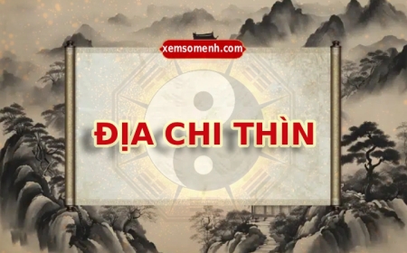 Thìn là gì trong Tử Vi? Ảnh hưởng của địa chi Thìn đến vận mệnh, phong thủy