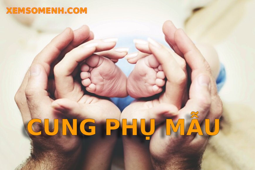 Cung Phụ Mẫu là gì? Luận giải nghĩa các sao khi tọa trong cung Phụ Mẫu