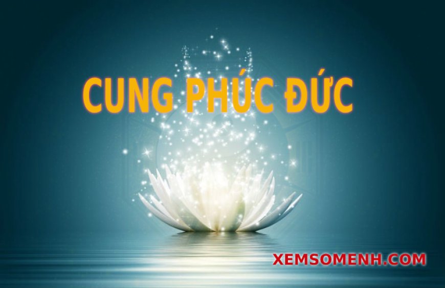 Cung Phúc Đức là gì? Ý nghĩa các sao khi tọa ở Phúc Đức trong tử vi
