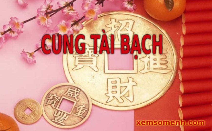 Cung Tài Bạch là gì? Luận giải ý nghĩa các sao an tại cung Tài Bạch trong lá số tử vi