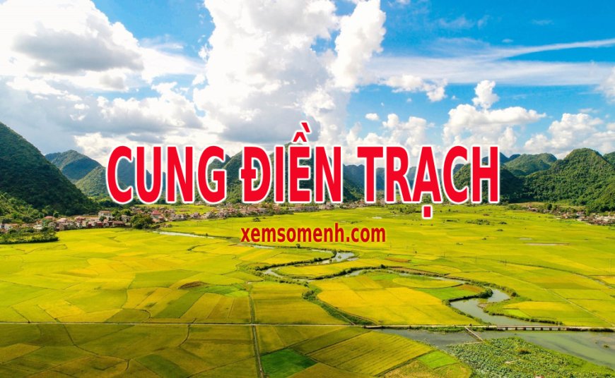 Cung Điền Trạch là gì? Luận giải ý nghĩa các sao khi tọa ở cung Điền trong tử vi