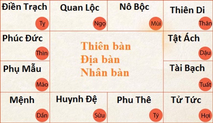 bố cục một lá số tử vi