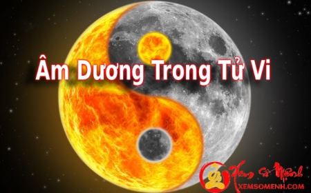Hiểu Sai Âm dương trong Tử Vi mọi luận đoán đều sai