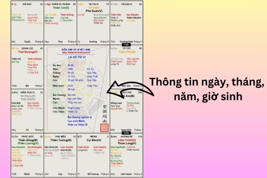 Lá Số Tử Vi Phản Ánh Điều Gì Trong Đời Người